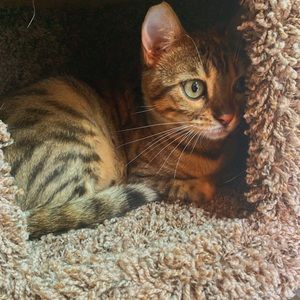 Meet your Posher, Clayton